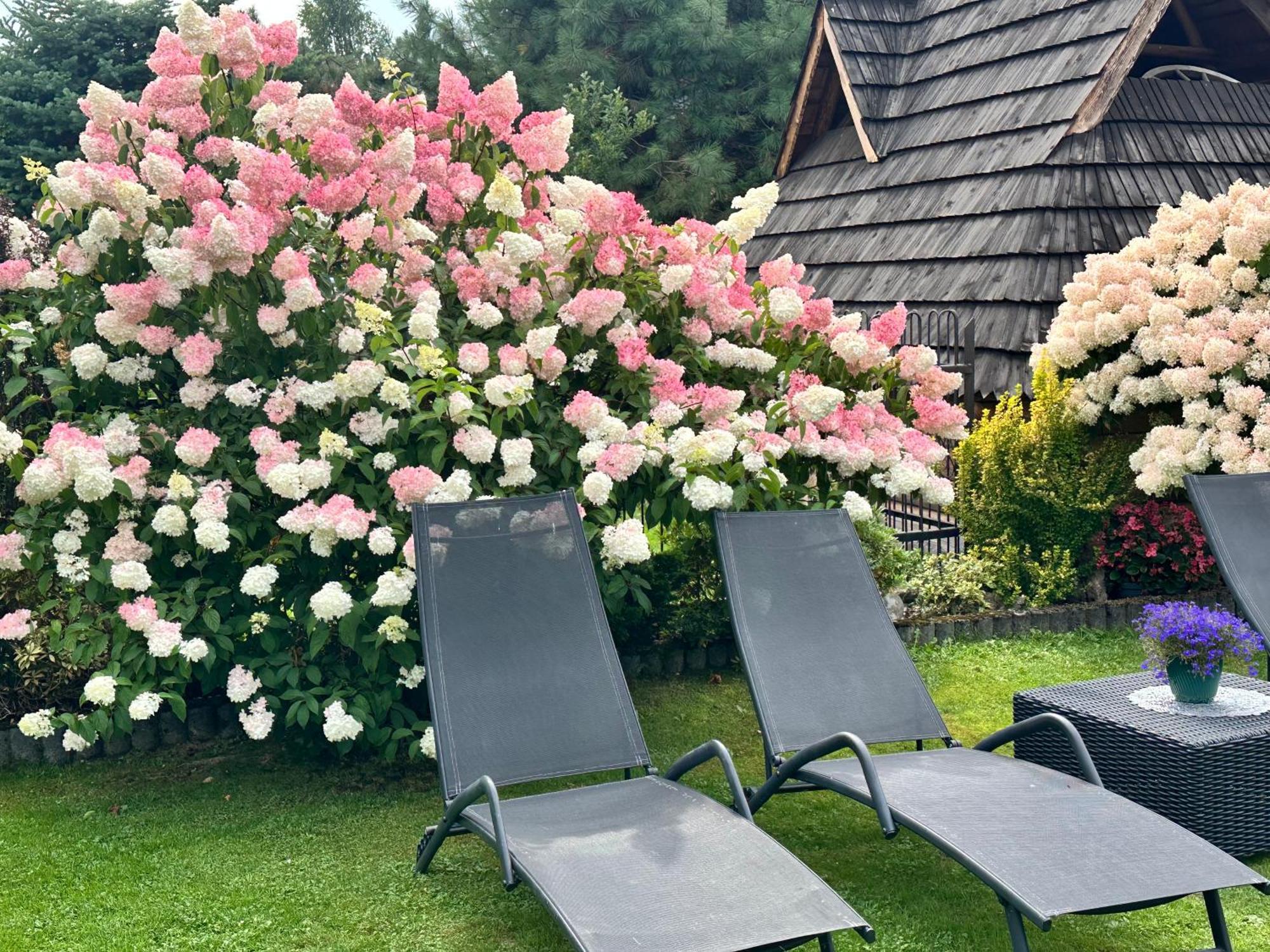 Dw Basia Pokoje I Apartament Białka Tatrzańska Exterior foto